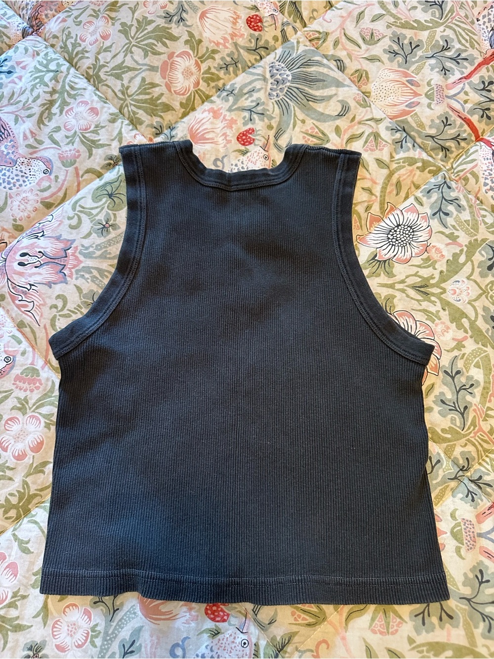 Brandy Melville Black Ribbed Cropped Tank